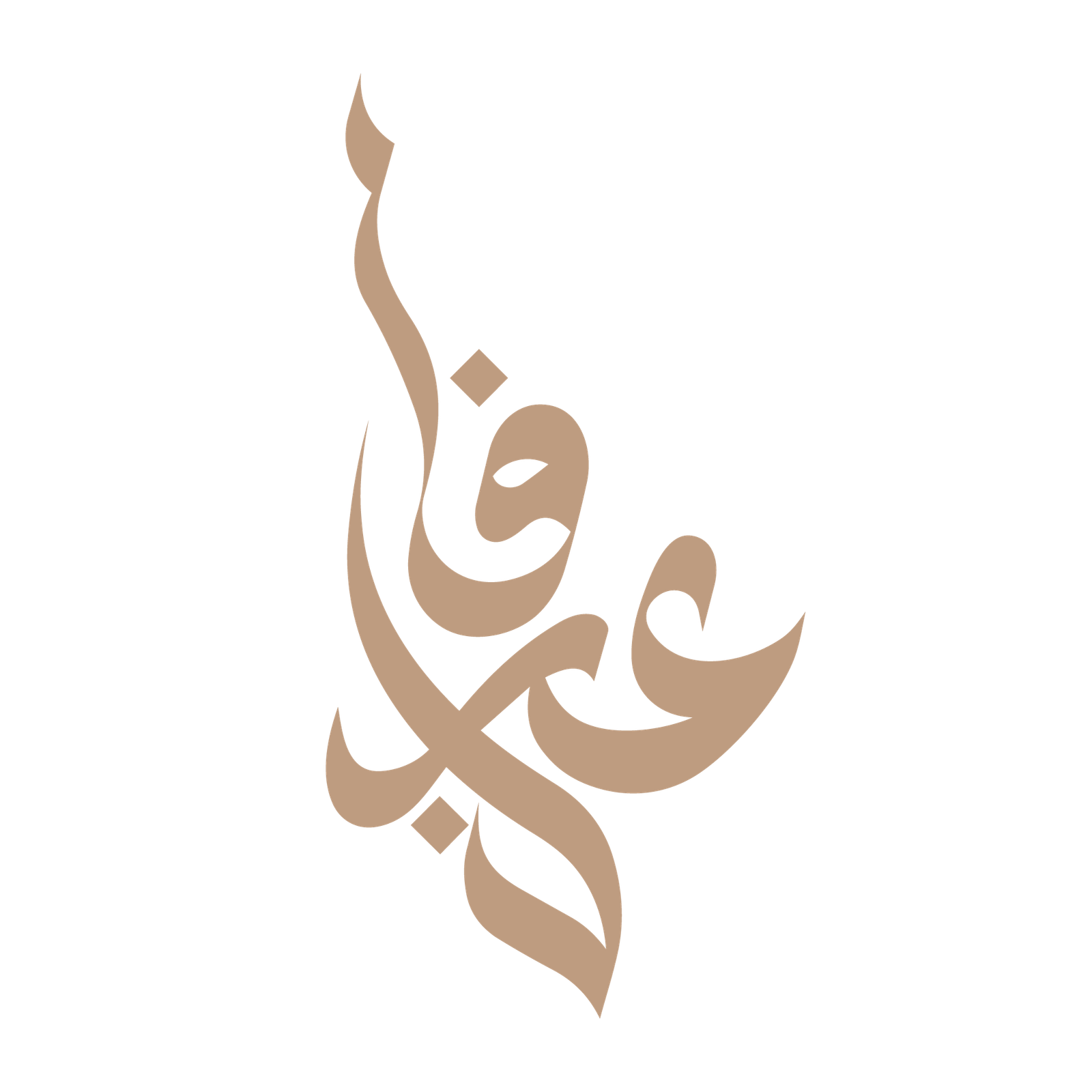 Irfan NV
